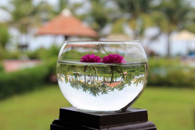 Из Екатеринбурга возобновляются прямые рейсы на Фукуок