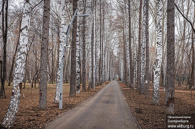 Мэру Екатеринбурга показали, как проходит благоустройство парка, за который голосовали жители