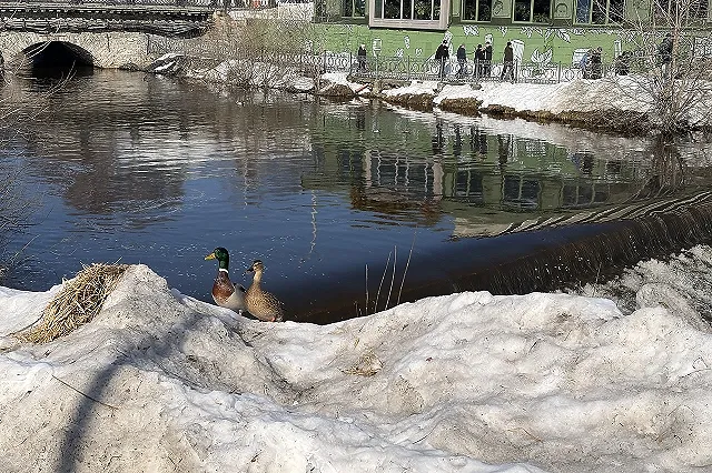 Климат меняется быстрее, чем ожидали: Свердловская область теряет воду