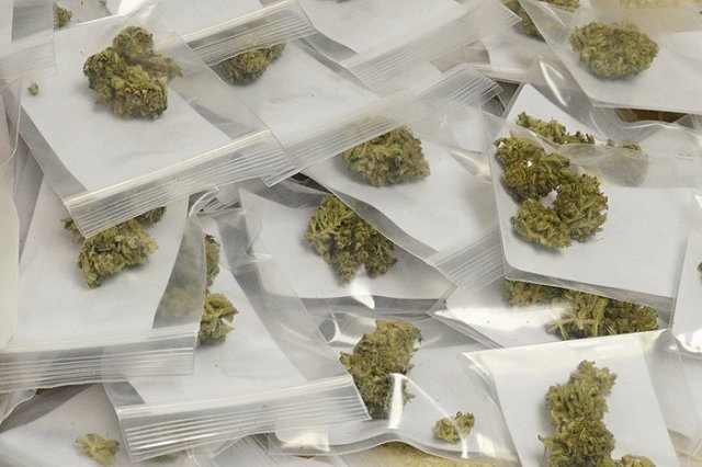 Организаторов конкурса сочинений о наркотиках задержали в Томске