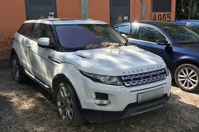 Мужчина, задолжавший 2,2 миллиона по алиментам, остался без дорогого автомобиля