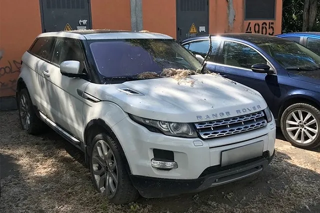 Мужчина, задолжавший 2,2 миллиона по алиментам, остался без дорогого автомобиля