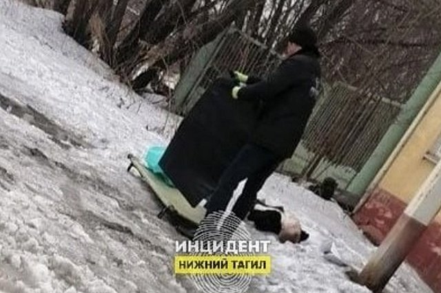 Названа причина гибели 18-летнего тагильчанина, которого нашли мёртвым после потасовки в клубе