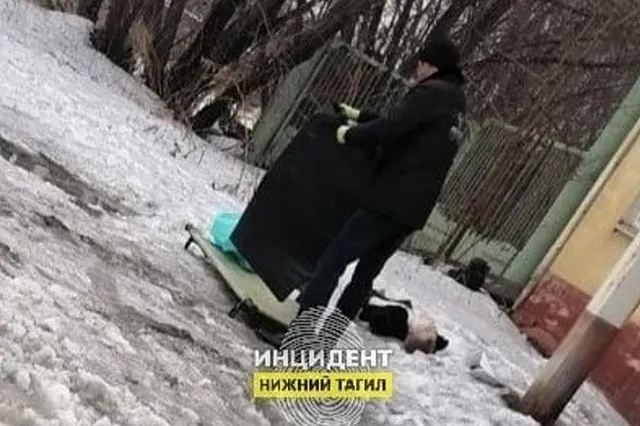 Названа причина гибели 18-летнего тагильчанина, которого нашли мёртвым после потасовки в клубе