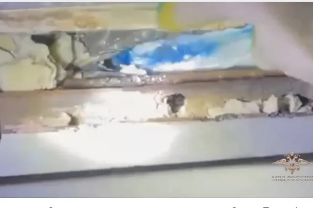 В портовой таможне Санкт-Петербурга изъяли партию кокаина из Эквадора