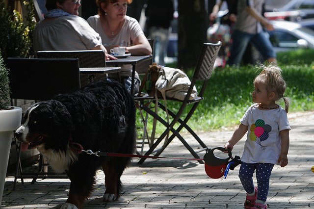 Девочку, которую на поводке выгуливала родная бабушка, могут забрать из семьи