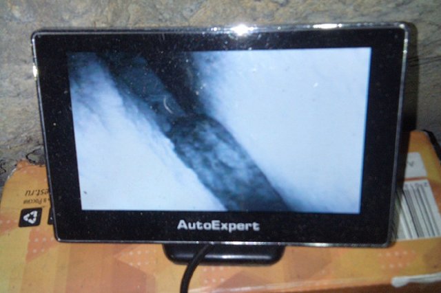 В Екатеринбурге спасли кота, который застрял в узком зазоре между бетонными плитами