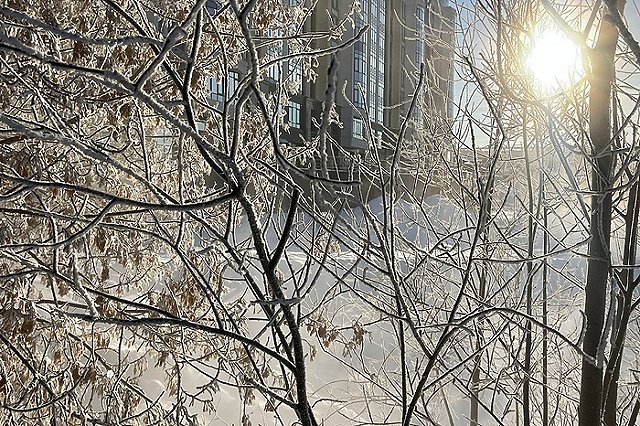 Синоптики сообщили, когда 40-градусные морозы уйдут из Свердловской области