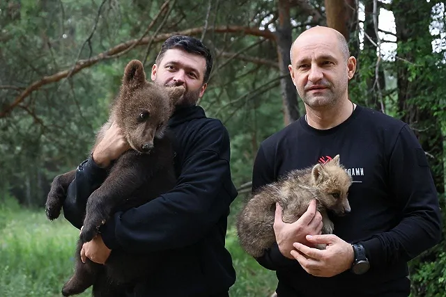 Джефф Монсон приехал в Сысерть и обнялся с медведем