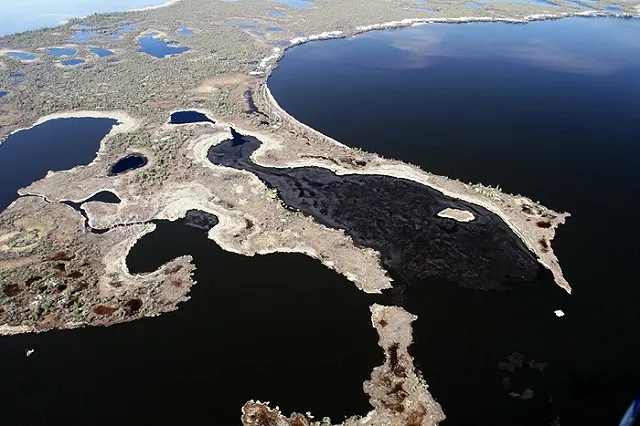 Вспоминали город по словам песни: в Екатеринбурге прошел географический диктант