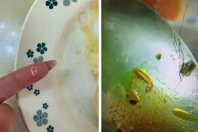 В детском лагере, в котором юные екатеринбуржцы нашли червей в еде, ответили на обвинения