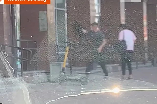 Екатеринбуржец избил и выбросил свою собаку в мусорку