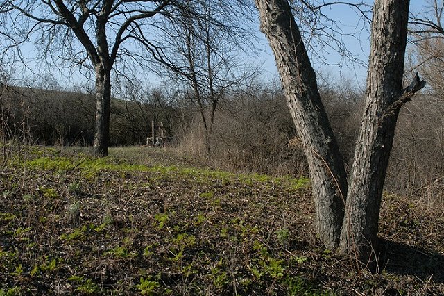 Земли колхоза «Шиловское» распродадут в счет погашения долга Ильи Гаффнера