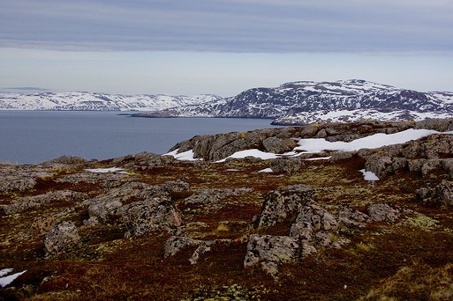 Попадание ядерной ракеты в Баренцево море назвали фейком