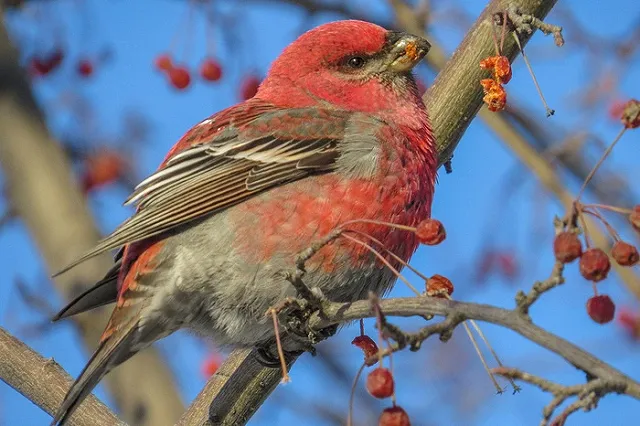 Выходные в Екатеринбурге пройдут без осадков