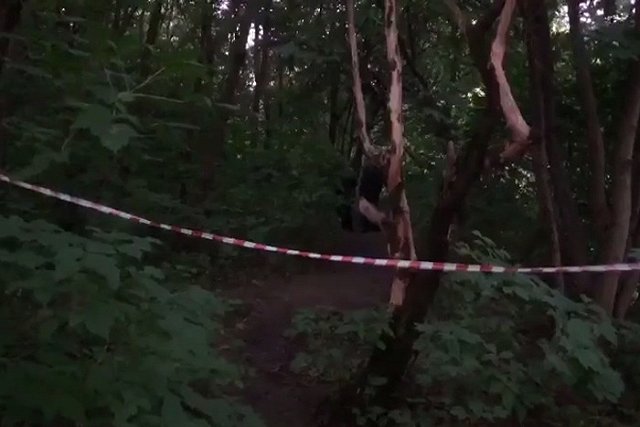 В Москве сверстник убил в безлюдном месте 11-летнего мальчика