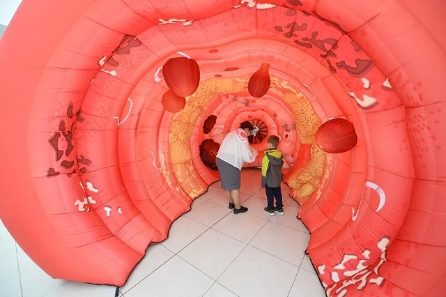 В Екатеринбурге проводят экскурсии в прямую кишку