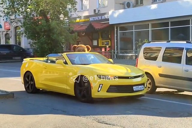 В центре Екатеринбурга заметили медведя за рулём кабриолета