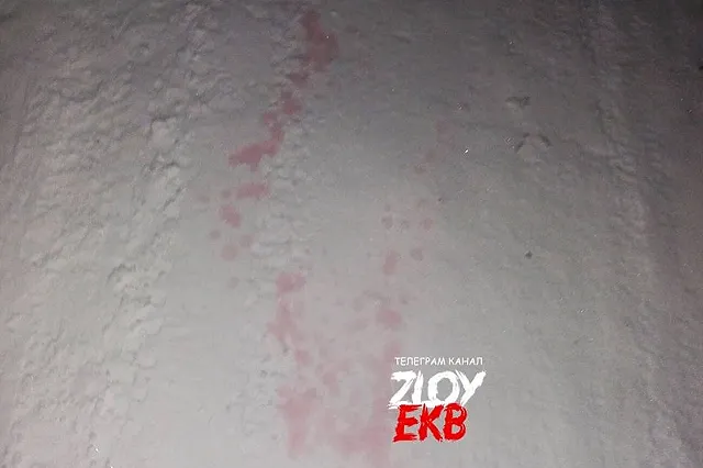 На ВИЗе заметили разлитую отраву на снегу