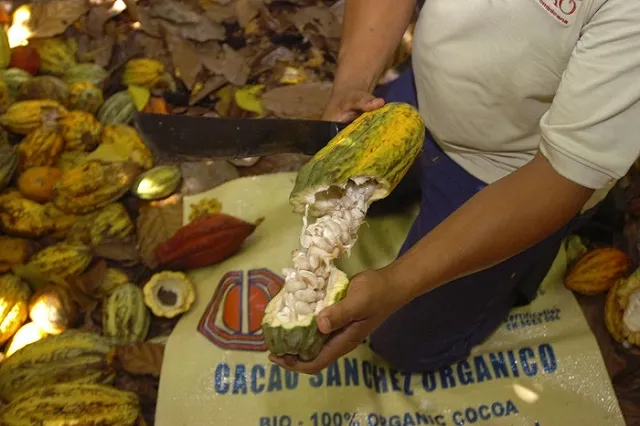 Эксперты предсказали сокращение производства шоколада в России