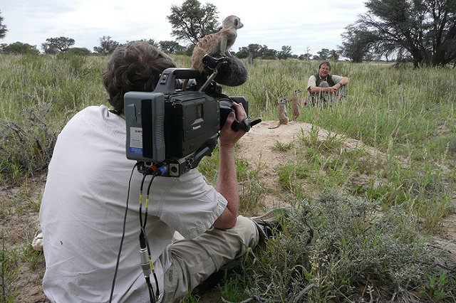 «Триколор ТВ» прекратит транслировать каналы сети Discovery