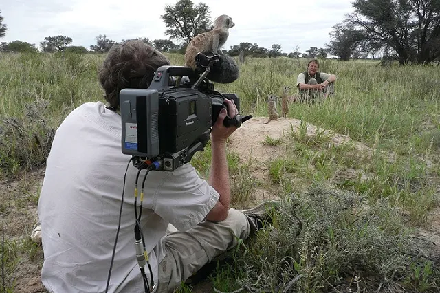 «Триколор ТВ» прекратит транслировать каналы сети Discovery