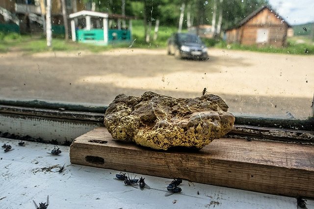 Матвиенко разнесла мэрию Читы: «Бурьян по пояс и уродливый фонтан»