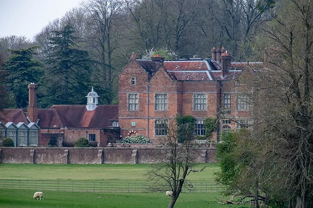 Сергей Капчук просит британцев вернуть России преступно нажитые деньги в виде масок