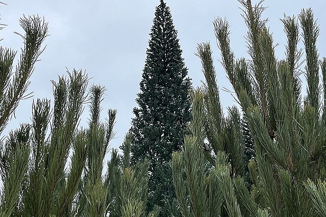 Стало известно, какие законы вступят в силу в декабре