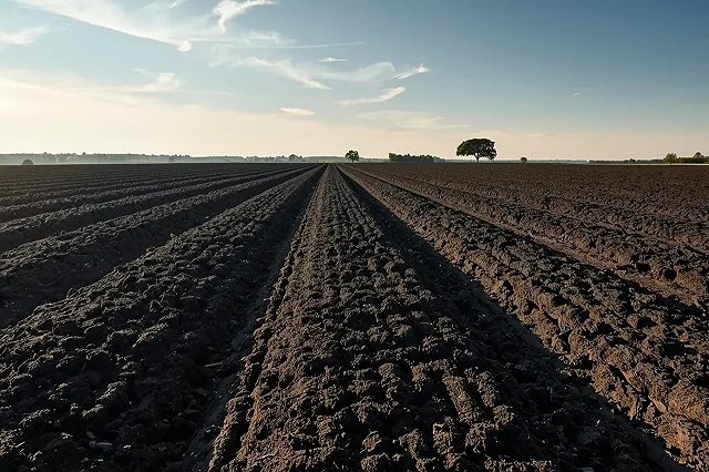 Свердловскому фермеру выдали предписание повысить плодородность почвы