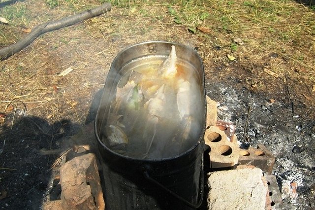 Активисты ОНФ из Тувы приготовили на камеру уху из краснокнижной рыбы