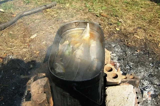 Активисты ОНФ из Тувы приготовили на камеру уху из краснокнижной рыбы