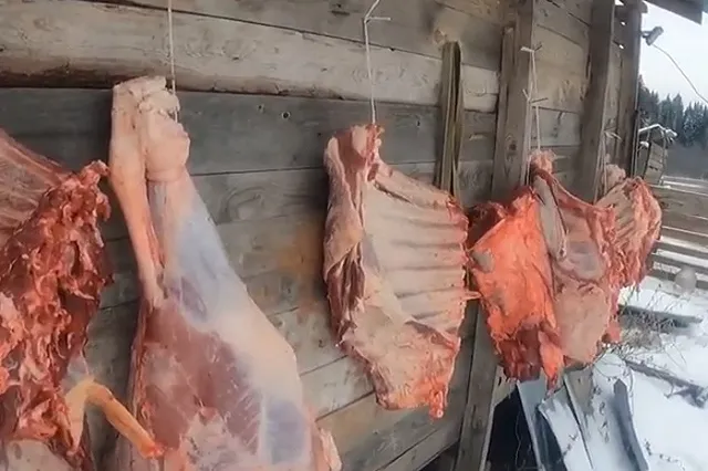 Четвертый случай заражения сибирской язвой выявили в России