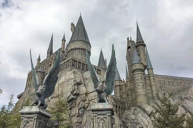 В Екатеринбурге родители штурмуют «Хогвартс» №314 в Пионерском