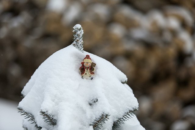 Роструд: Россиян ждут девятидневные новогодние каникулы
