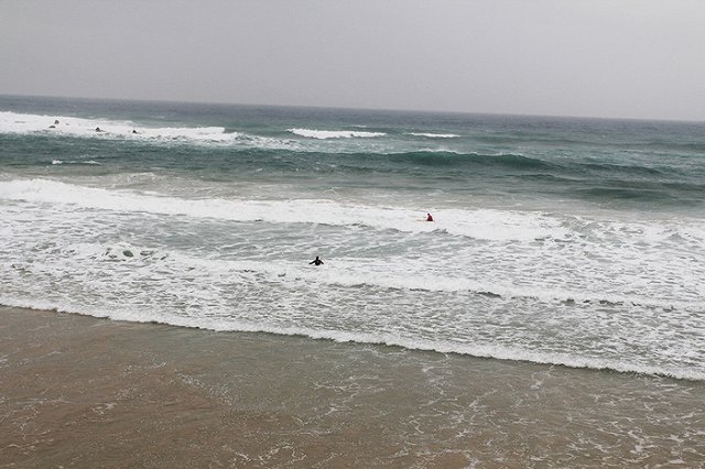 Операторы ждут падения продаж туров в Европу до 50%, в Турцию — на 10%