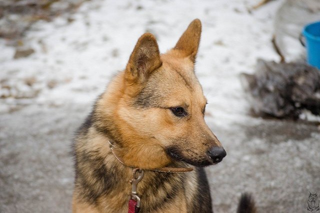 ЕМУП «Спецавтобаза» проведет 12 ноября день открытых дверей