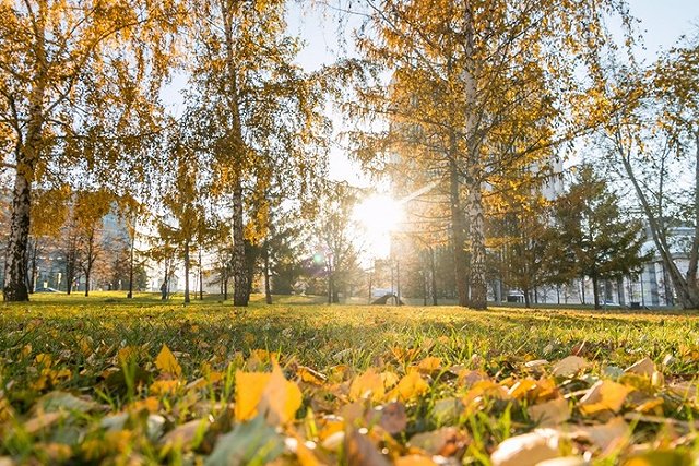Начался прием предложений по размещению храма святой Екатерины