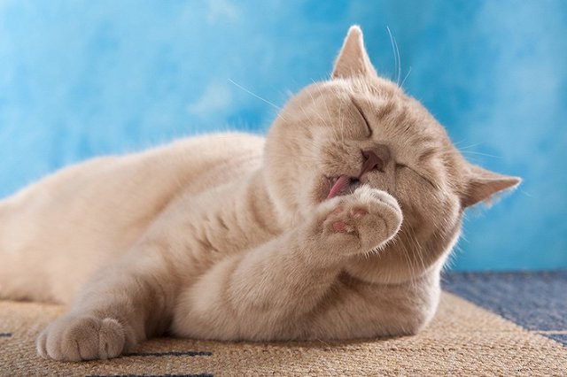 «Жду „спасибо“ за разобранную стиралку». Почему стоит быть благодарным людям за любой труд