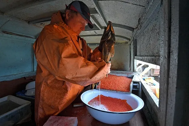 Цены на красную икру выросли на 40%