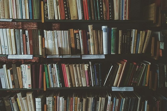 Обвиненный в педофилии свердловчанин знакомился с детьми в библиотеках