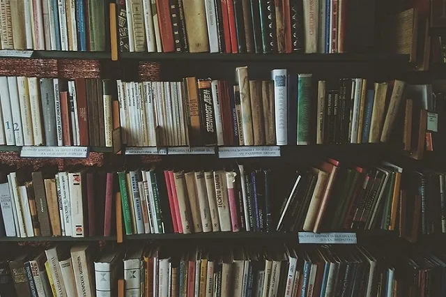 Обвиненный в педофилии свердловчанин знакомился с детьми в библиотеках