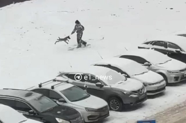 На Эльмаше мальчик раскрутил собаку за поводок