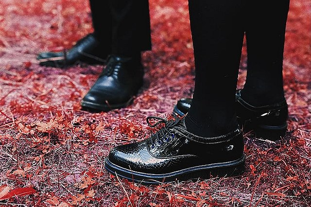 Из министерства агропромышленного комплекса уволили главного специалиста «в связи с утратой доверия»