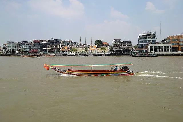 От чего необходимо привиться туристам, выезжающим в страны Юго-Восточной Азии и Африки
