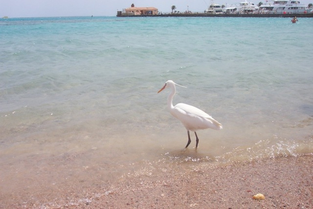 На Урале встали продажи туристических путевок