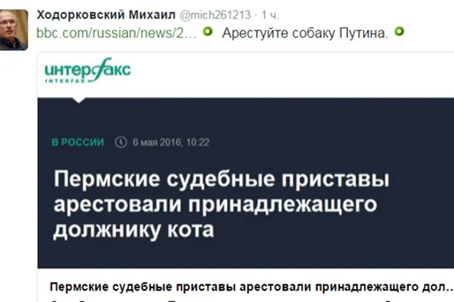 Ходорковский вступился за арестованного в Перми кота