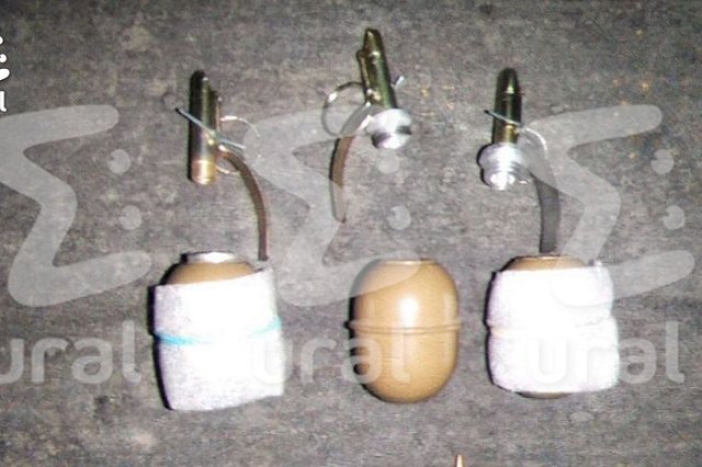 Девушка второй раз заказала по почте муляжи гранат