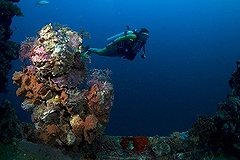 Япония потеряла подводного робота за $5 млн