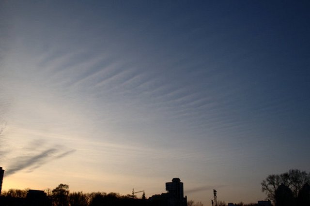 Яндекс проверил достоверность погодных примет. Большинство из них не работают